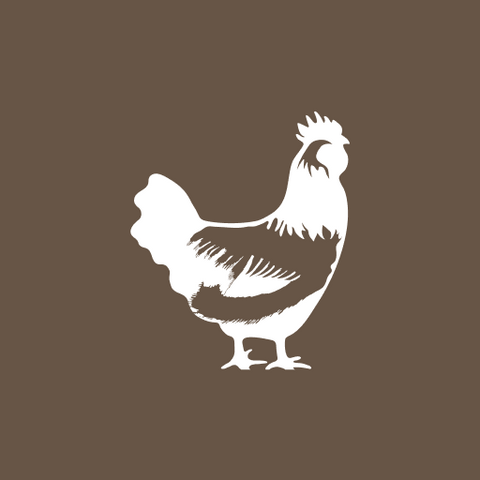 Pasture Raised Chicken
